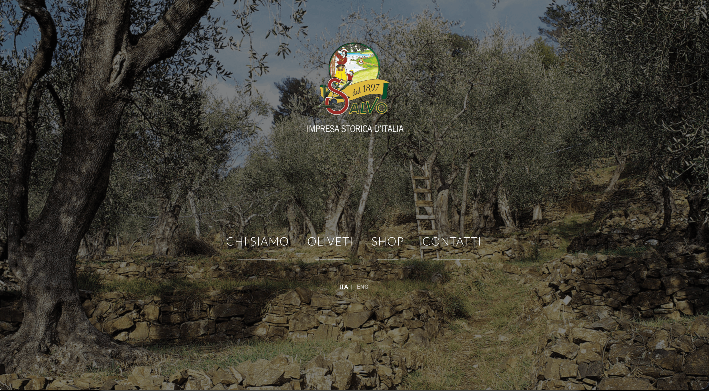 Homepage dell’e-commerce Olio Salvo